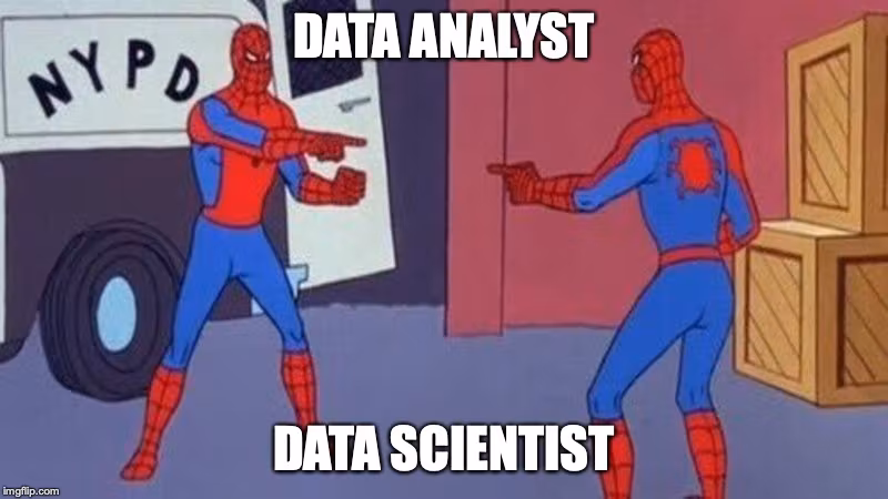 data_analyst.avif